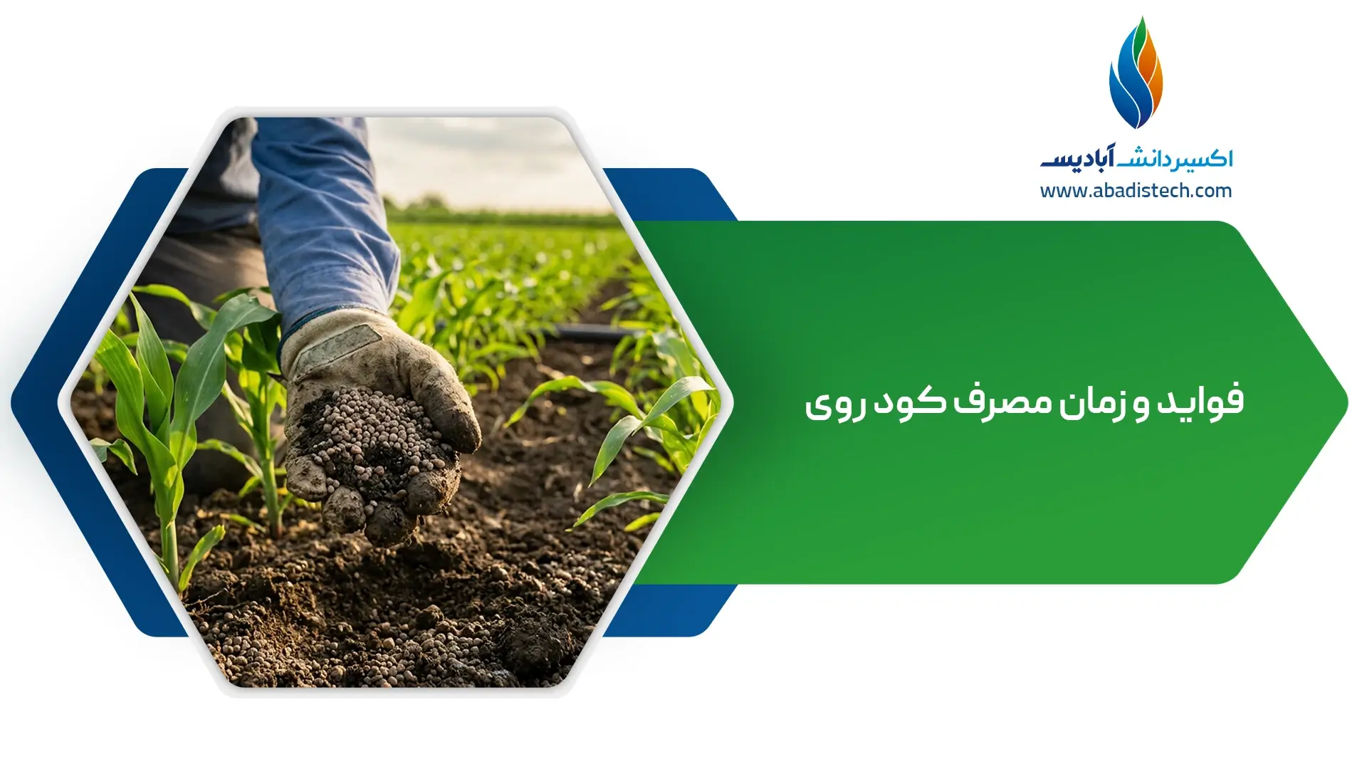 فواید و زمان مصرف کود روی