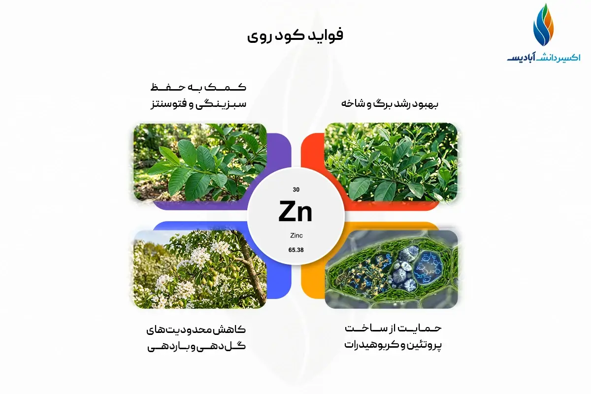 فواید کود روی