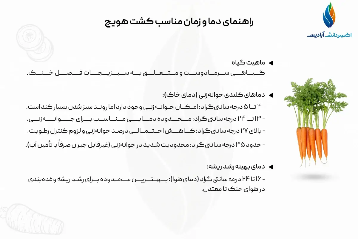 زمان کاشت هویج