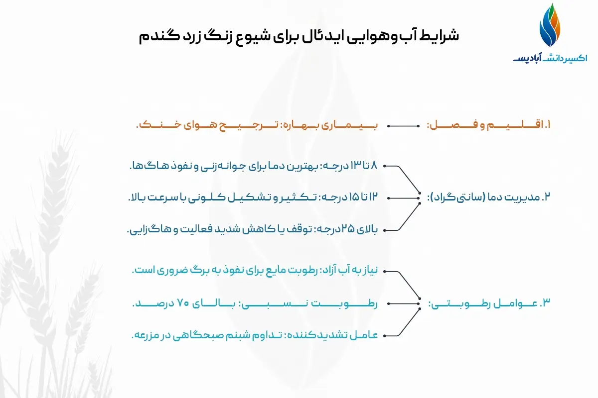 شرایط آب وهوایی ایدئال برای شیوع زنگ زرد گندم