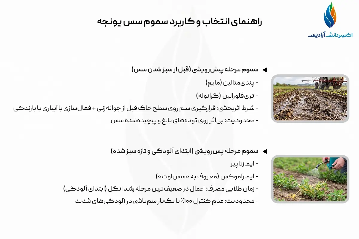 بهترین سم برای سس یونجه