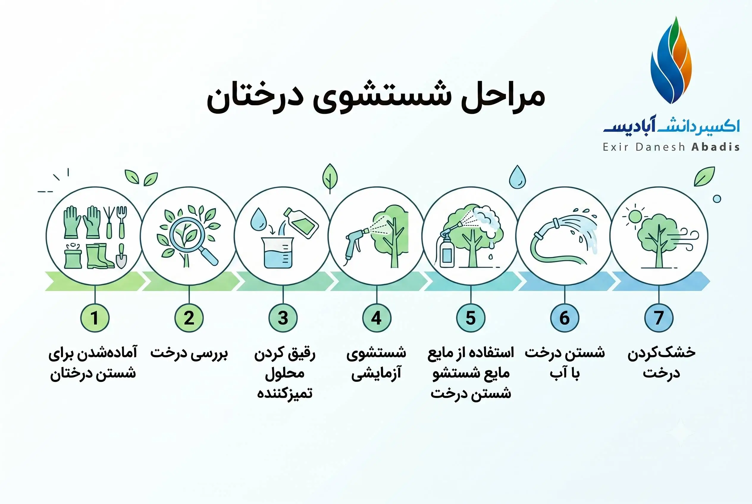 مراحل شستشوی درختان