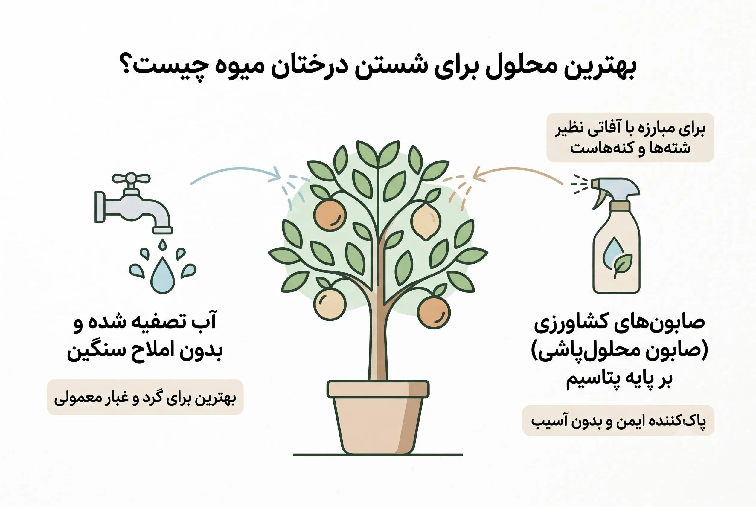 بهترین محلول برای شستن درختان میوه