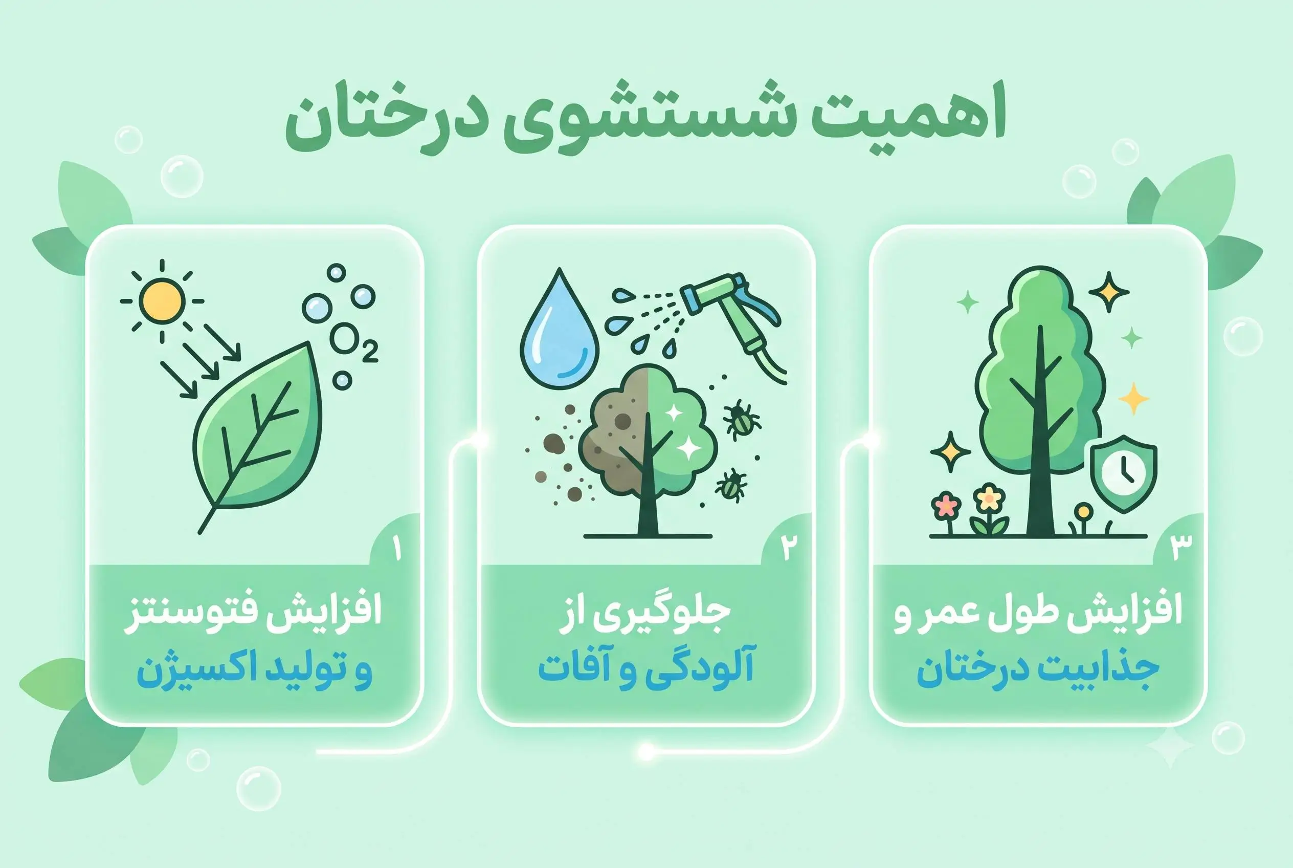 شستشوی برگ درختان میوه