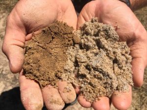 احیا و اصلاح خاک شور با اسید هیومیک