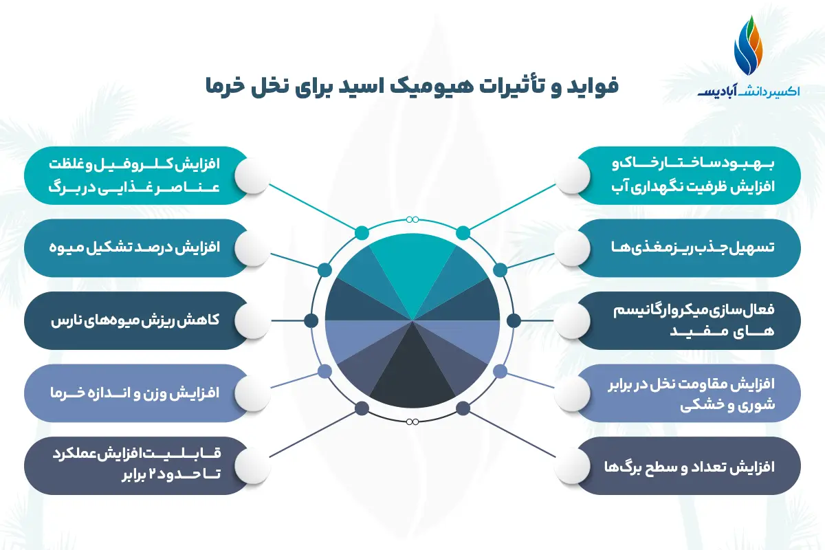 فواید هیومیک اسید برای خرما