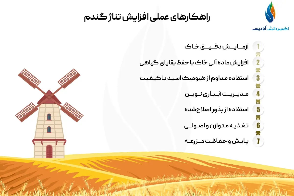 راهکارهای عملی افزایش تناژ گندم