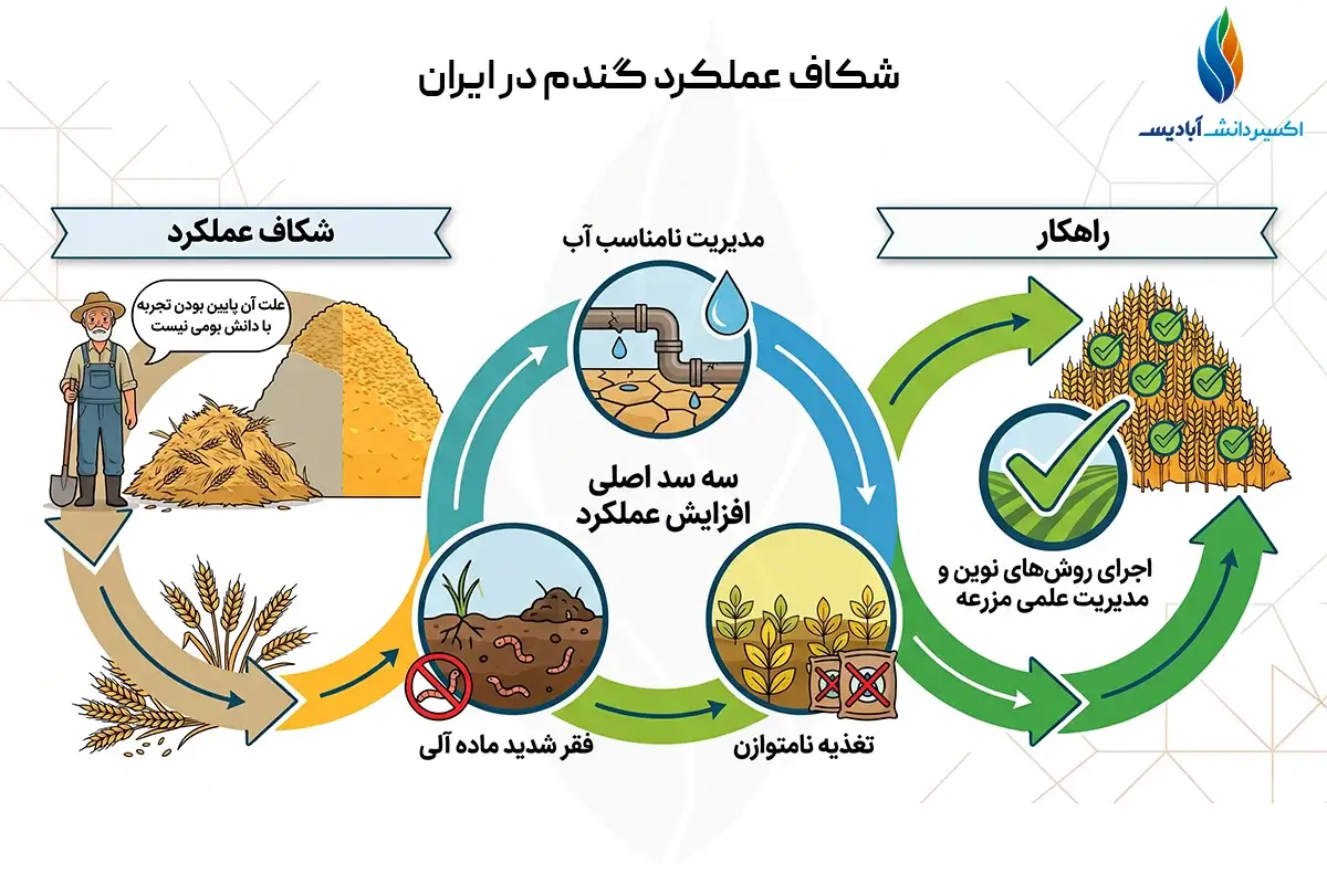 شکاف عملکرد گندم در ایران
