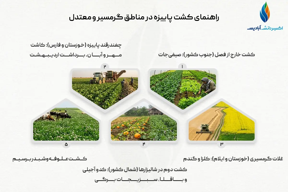 کشت پاییزه در مناطق گرمسیر