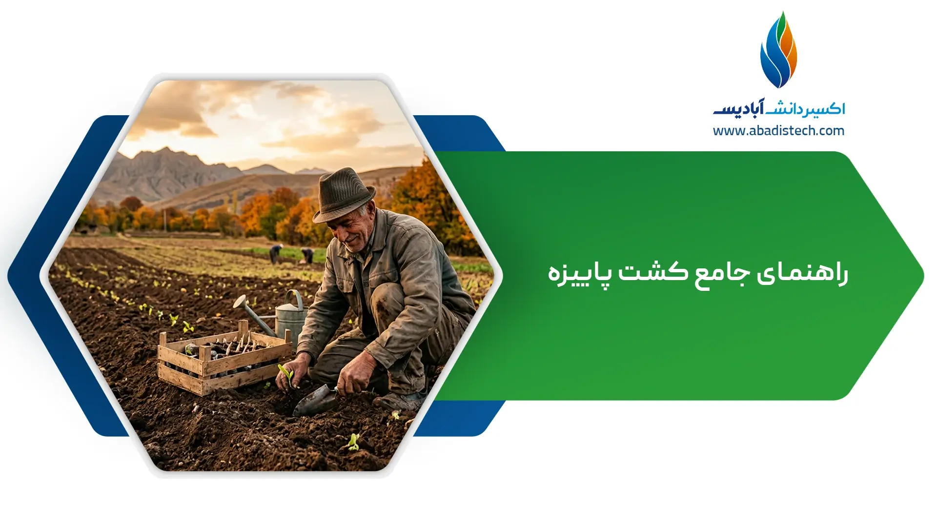 راهنمای جامع کشت پاییزه