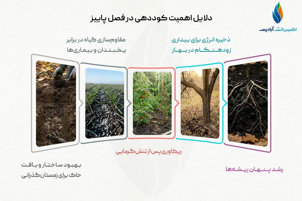 دلایل اهمیت کوددهی در فصل پاییز