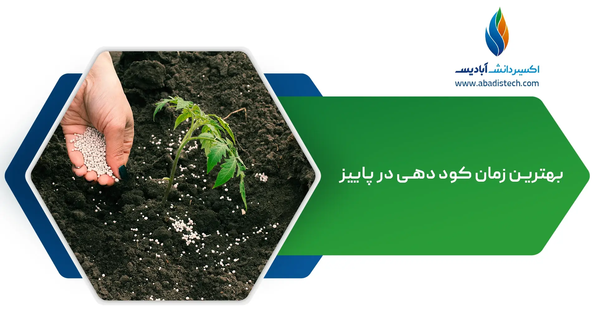 زمان کود دهی در پاییز
