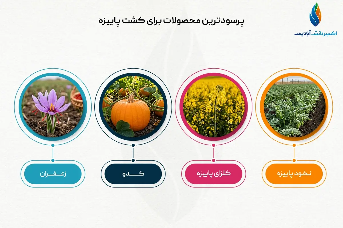 محصولات پر سود کشت پاییزه