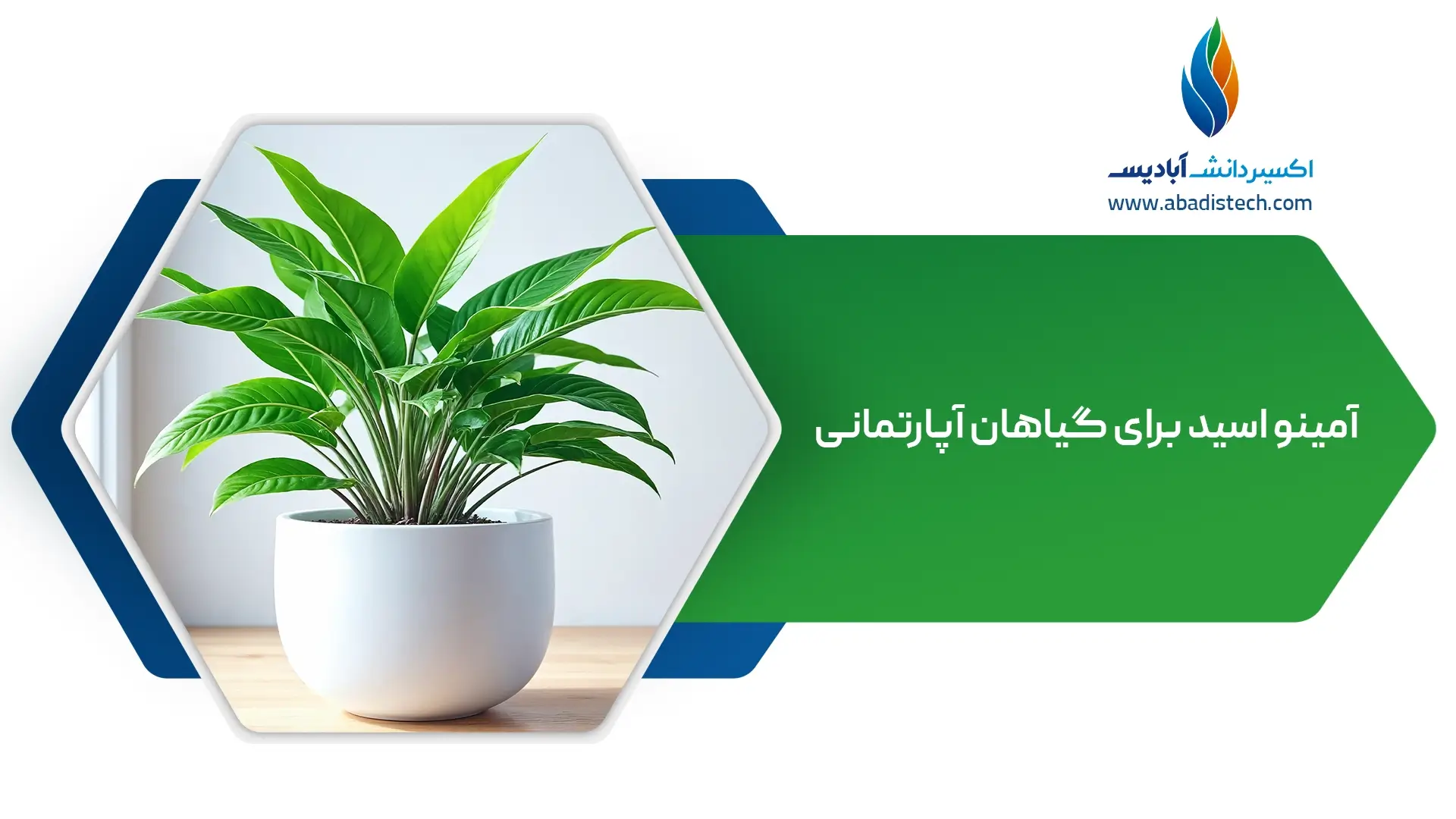 کود آمینو اسید برای گیاهان آپارتمانی