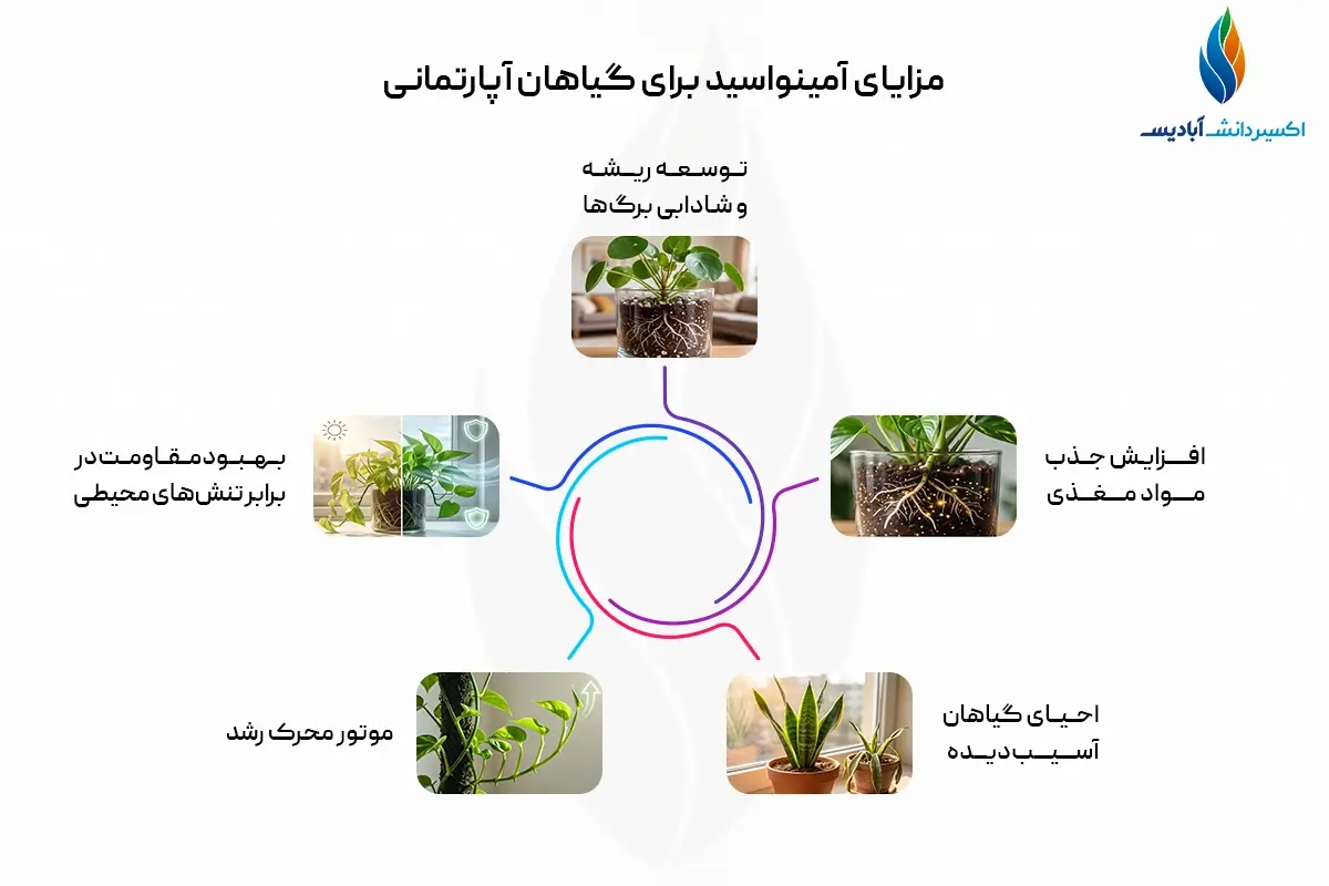 مزایای آمینو اسید برای گیاهان آپارتمانی