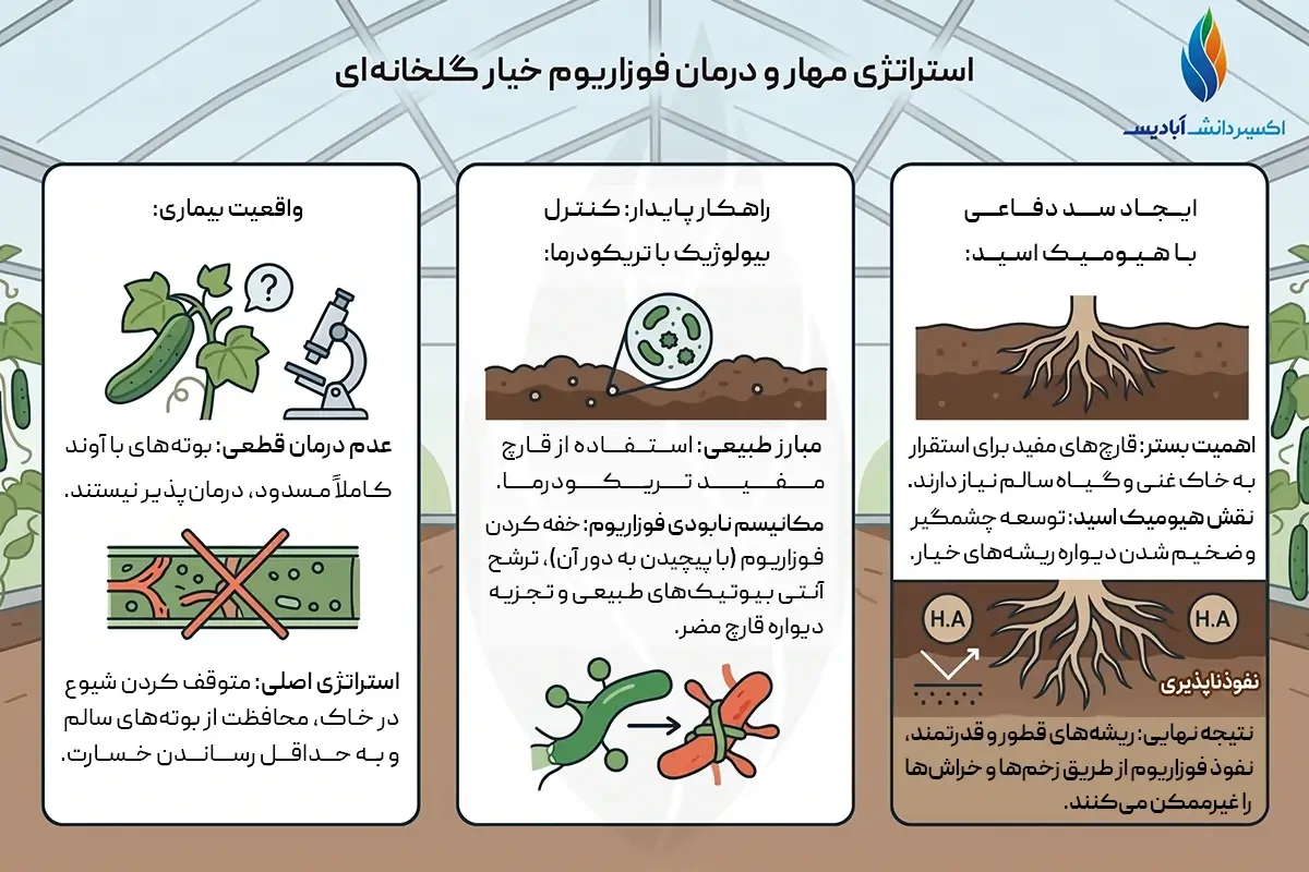 درمان فوزاریوم خیار